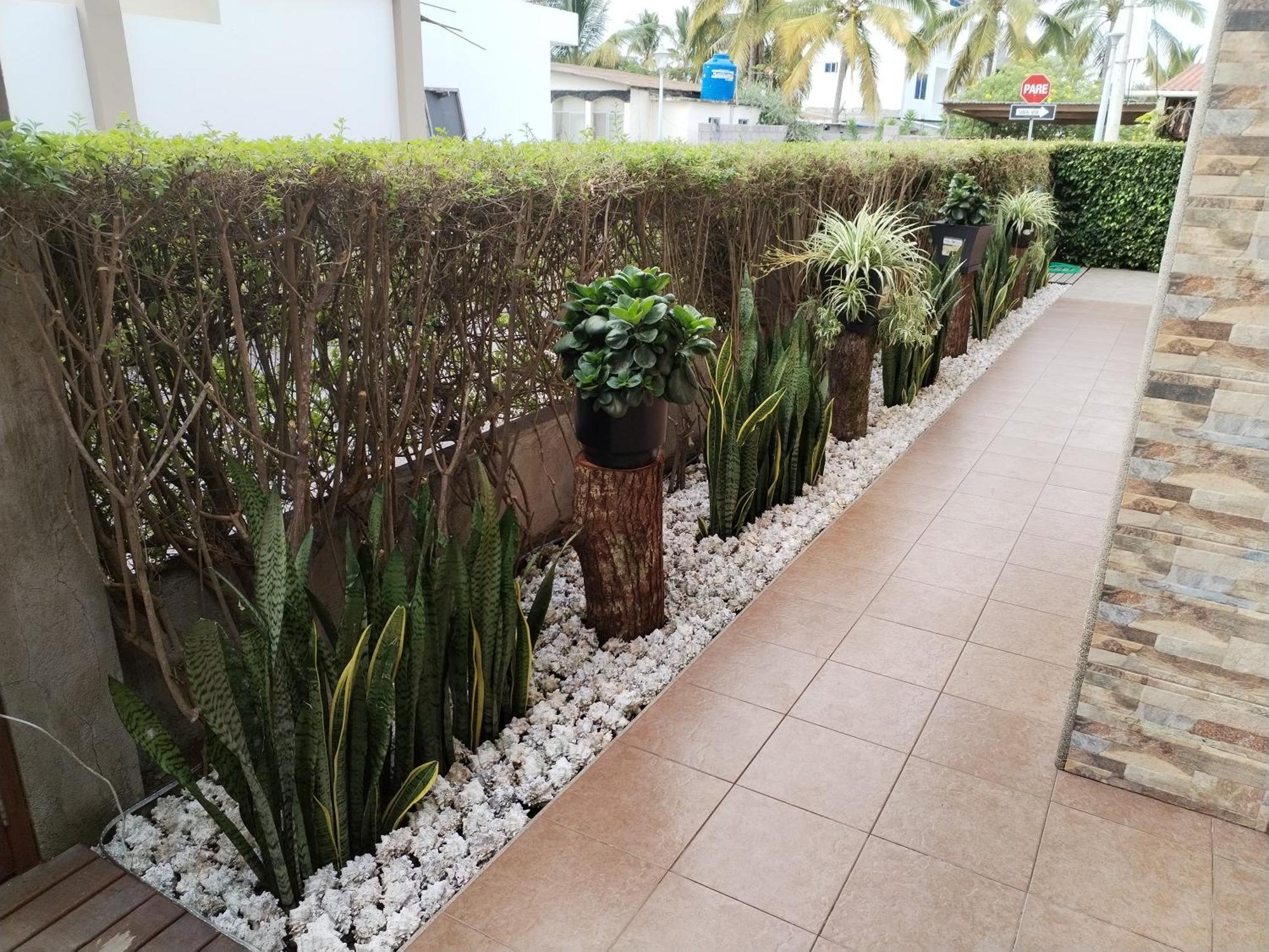 Hotel Starfish Puerto Villamil Εξωτερικό φωτογραφία